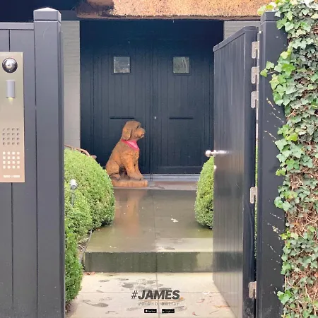 Willa Exclusieve Villa Met Zwembad Nabij De Golf Van Knokke J00765 *
